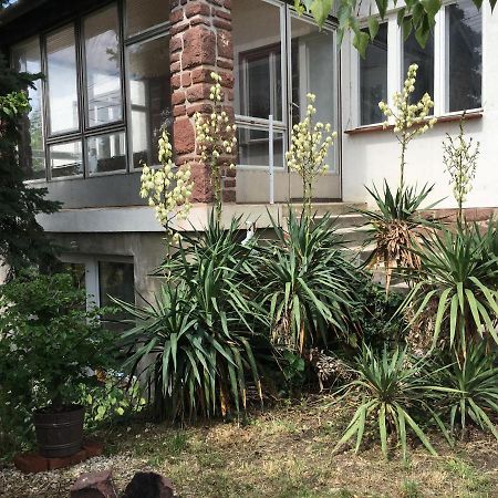 Alsooers Ch Apartment Luaran gambar